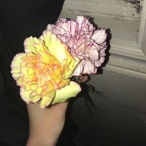 Meet your Posher, Bailey